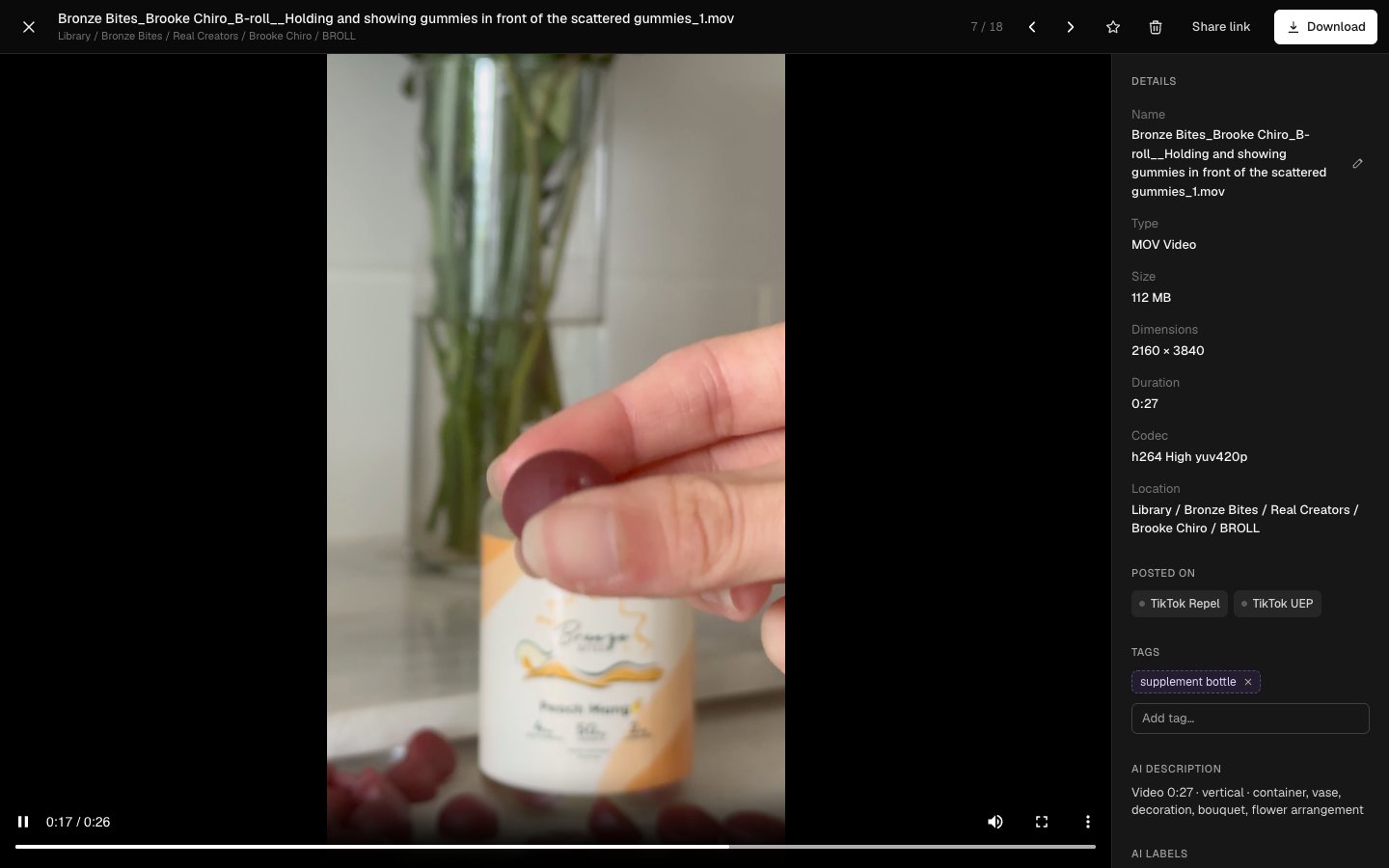 The asset viewer playing a Bronze Bites B-roll video, with a details panel showing duration and codec